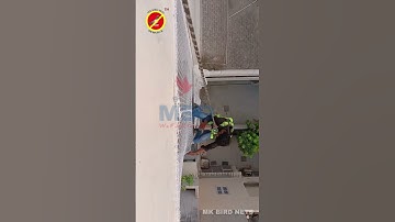 Balcony Bird Pigeon Safety net Service in Gurugram Delhi NCR