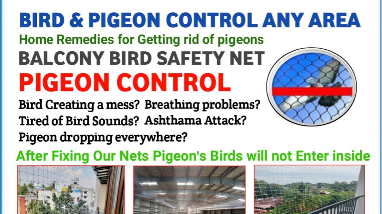 Balcony Bird Pigeon Safety net Service in Gurugram Delhi NCR