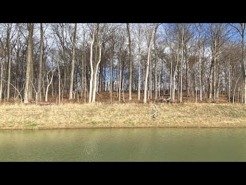 1333 Forest Hills Drive, Westfield, IN home video tour