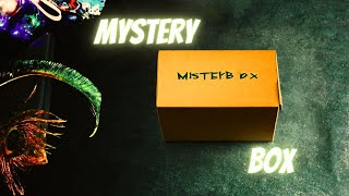 Unboxing Mystery Box Asmr Mystery Box Diy
