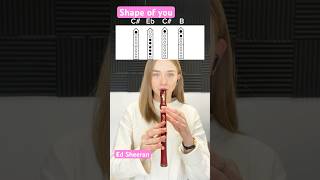 #shapeofyou #edsheeran #flute #recorder #tutorial #music #muzyka #flet #pop #dc #love #jakzagrać
