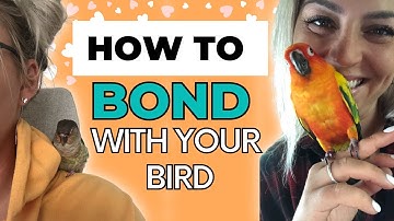 Bird Bonding Tips | How To Bond With Your Bird