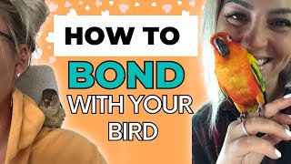 Bird Bonding Tips | How To Bond With Your Bird