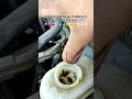 CADA CUÁNDO SE CAMBIA EL LÍQUIDO DE FRENOS!!! #electronicaautomotriz #automobile