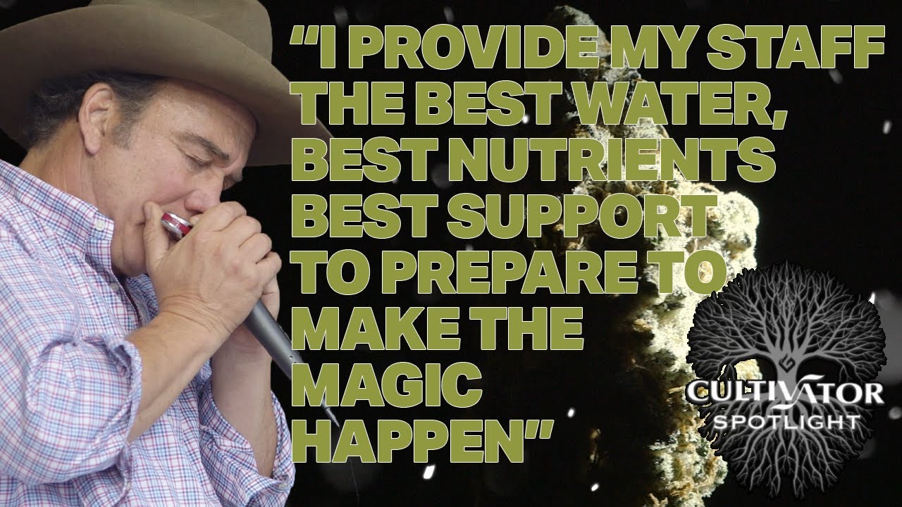 Cultivator Spotlight - Belushi's Farm