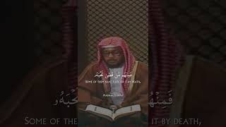 Mohammad Ayyub Imitating the recitation style of Mohammad Siddiq Al Minshawi |