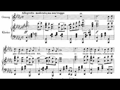 Dein ist mein ganzes herz Placido domingo Score