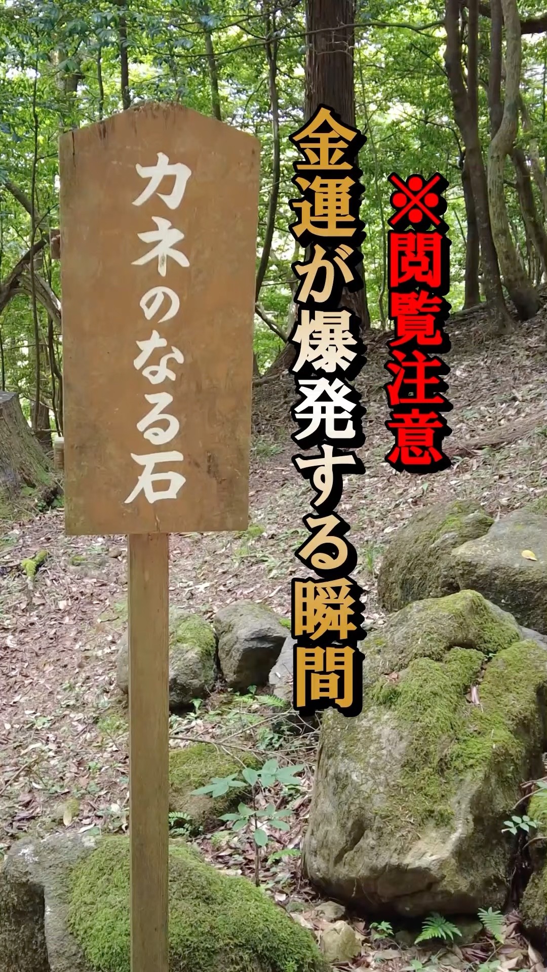 見逃さないで！金運爆上げ、効果絶大 - YouTube