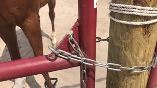 Volunteer Track to Trail Gate basics