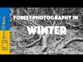 Landscape Film Photography - The Snowy Forest (2018)