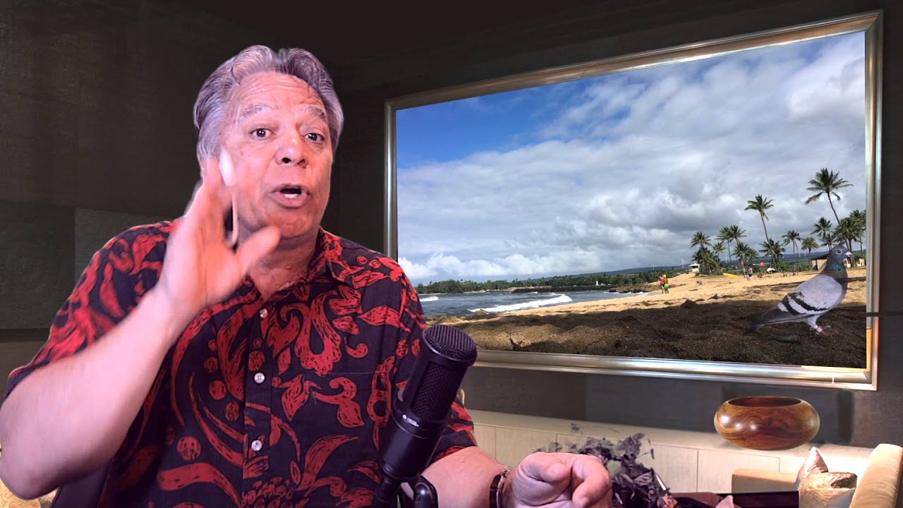 shakacon The Daily Pidgin #66 - Viewer Suggested Shirts & Beach Video