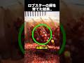 買ったロブスターから発見…孵化させたら信じられない結果に！