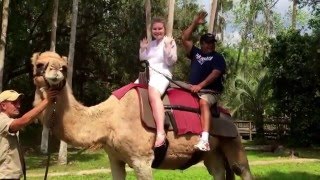 Camel ride at Central Florida Zoo and Botanical Gardens.