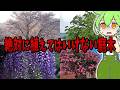 生物の謎7選!絶対に植えてはいけない庭木【総集編】