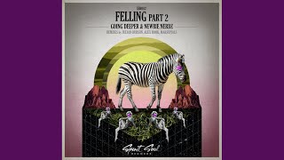 Feeling, Pt. 2 (Alex Hook Remix)