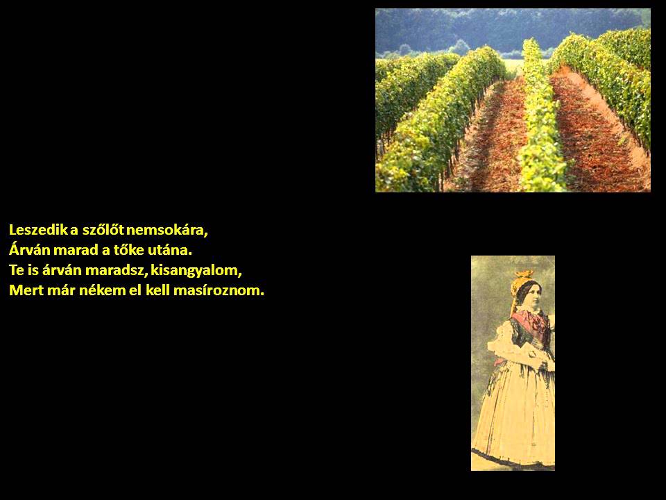 Eger környéki boros nóták (Felföldi táj.) (szöveggel)