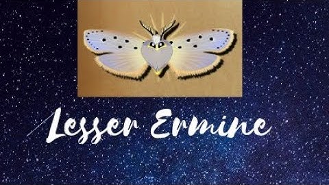 A Throwback To The Boom Set-Flutter Starlight Part 10