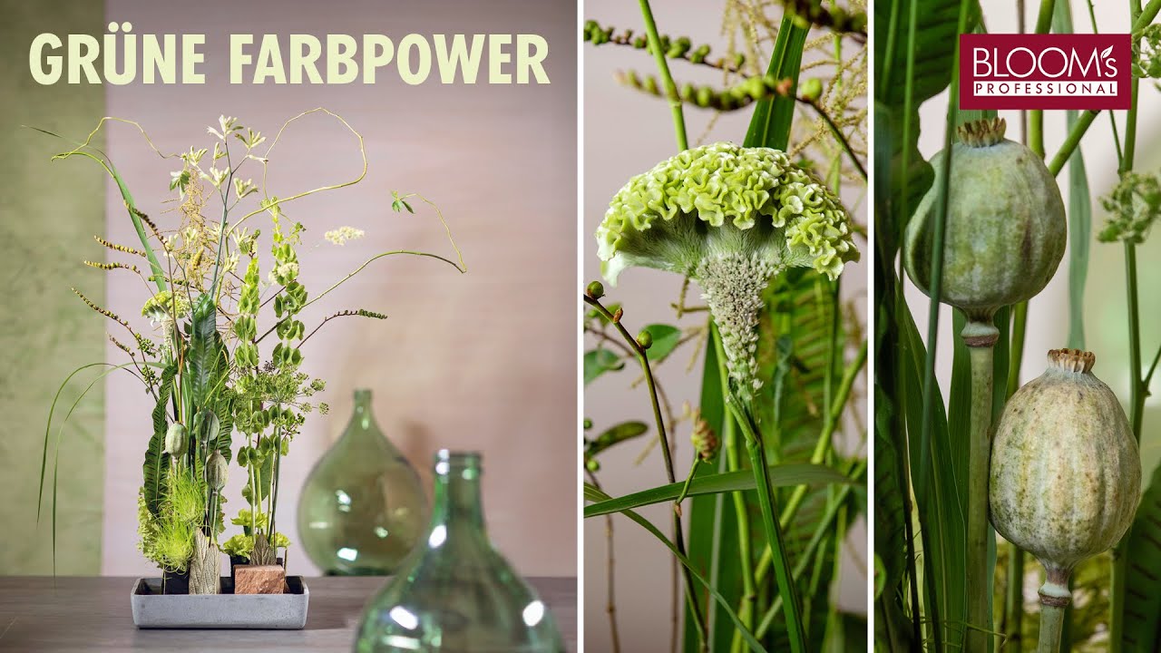 Grüne Farbpower von Klaus Wagener |  Floristik |  Gesteck