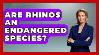Are Rhinos An Endangered Species? - The Wild Life Explorer