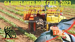 2023 Sunflower Dove Field  Ep. 2  PostEmergent Spraying