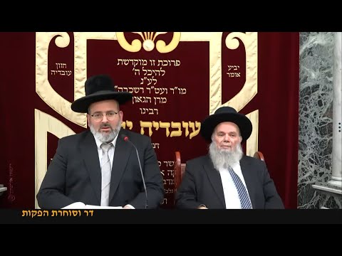 פרשת לך-לך תש"פ - הרה"ג הרב יצחק לוי שליט"א