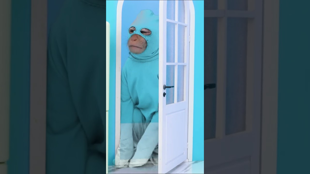 The little monkey wears an invisible cloak 🐒🫥🧥✨