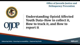 Celebrity OJJDP Opioid Affected Youth Program Performance Measures Training Wealth