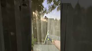 Smart window cleaning brush for clear and shiny home windows ✨🪟