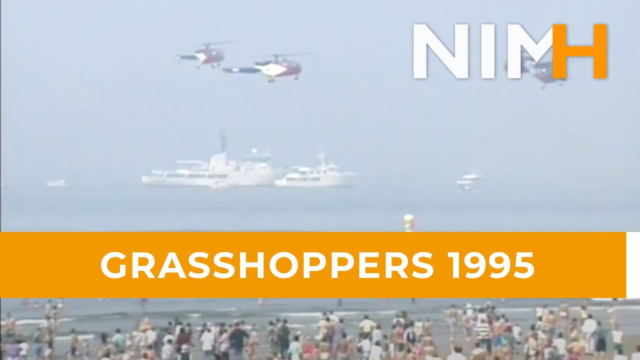 Grasshoppers 1995