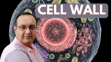 Cell Wall - CSIR NET Life Sciences Unit 2 Lecture 6