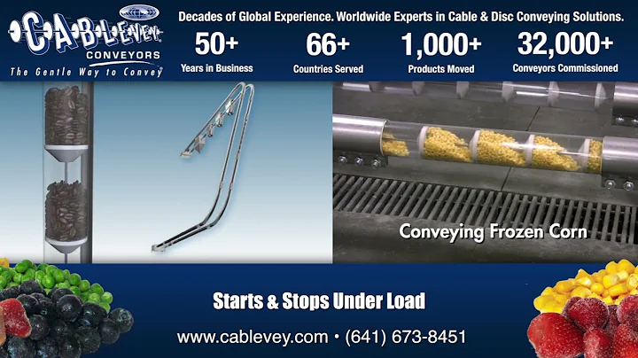 Cablevey® Conveyors Side by Side frozen Foods