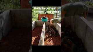 How to compost Tender Coconut waste, in tank and vermi composting, Earthworms love them
