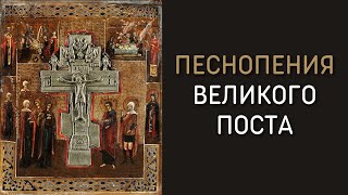 Песнопения Великого поста и Страстной седмицы - Хор храма прп Серафима Вырицкого СПб