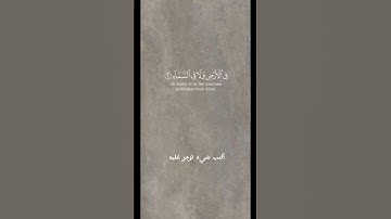 القران الكريم | القارئ ياسر الدوسري | اكتب شيء تؤجر عليه🤍