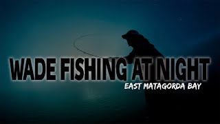 Wade Fishing AT NIGHT!! East Matagorda Bay by Typical Outdoors 1,212 views 1 year ago 10 minutes, 9 seconds