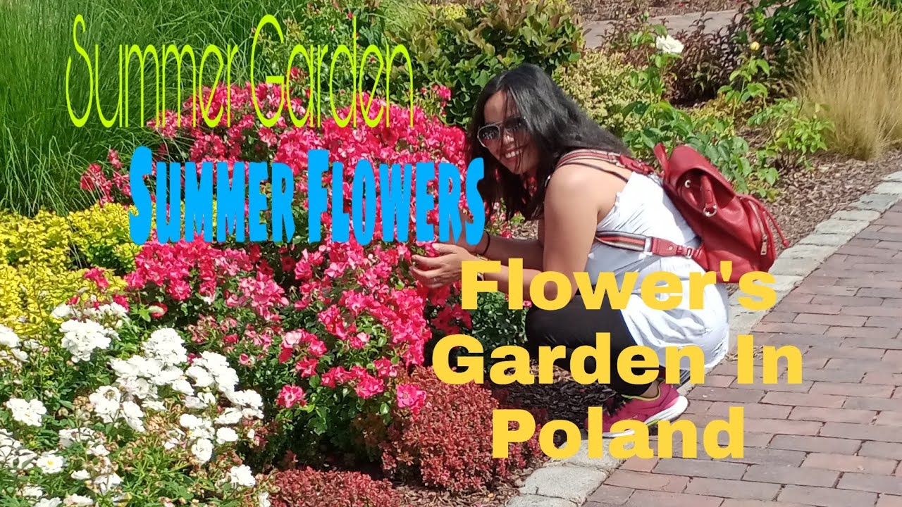 Summer Garden/Summer Flowers/Flower Garden In Poland/Flowers Shop YouTube