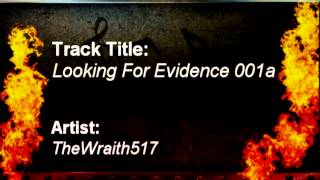 Looking For Evidence 001a