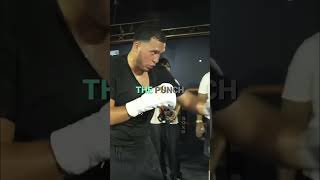 Master Boxing Deception: Sell the Jab, Land the Power #shorts