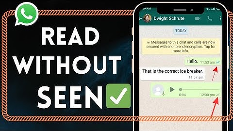 How to Read WhatsApp Messages Without Them Knowing (No Seen, No Blue Tick!)