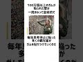 世界一汚い壁に関する雑学。#雑学 #shorts