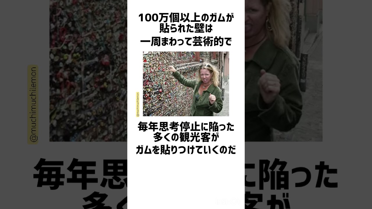世界一汚い壁に関する雑学。#雑学 #shorts