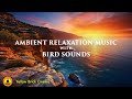 Ambient Music for Relaxation, Stress Relief Music, Silent Relaxing Music, Bird Sounds for Sleeping