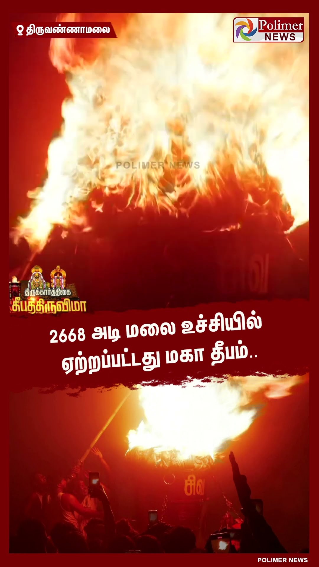 2668 அடி மலை உச்சியில் ஏற்றப்பட்டது மகா தீபம்.. #shorts