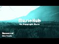 Universal Vibe Tracks No Copyright Music Royalty Free Music