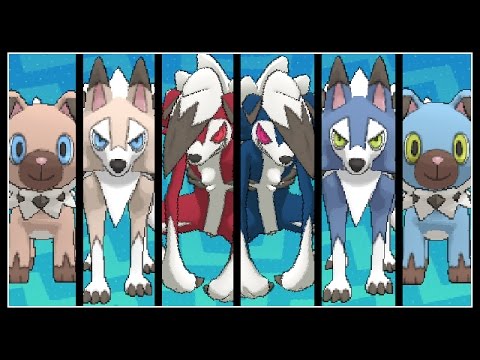 FULL ROCKRUFF EVOLUTION TEAM!