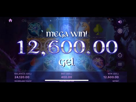 400 ლარიანი სპინები და დიდი მოგება - Netent Slot - winderland