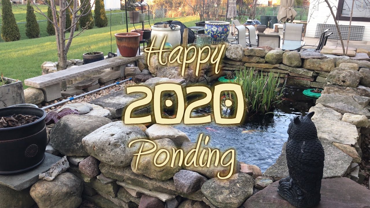 Opening our Koi Pond - Spring 2020 - YouTube
