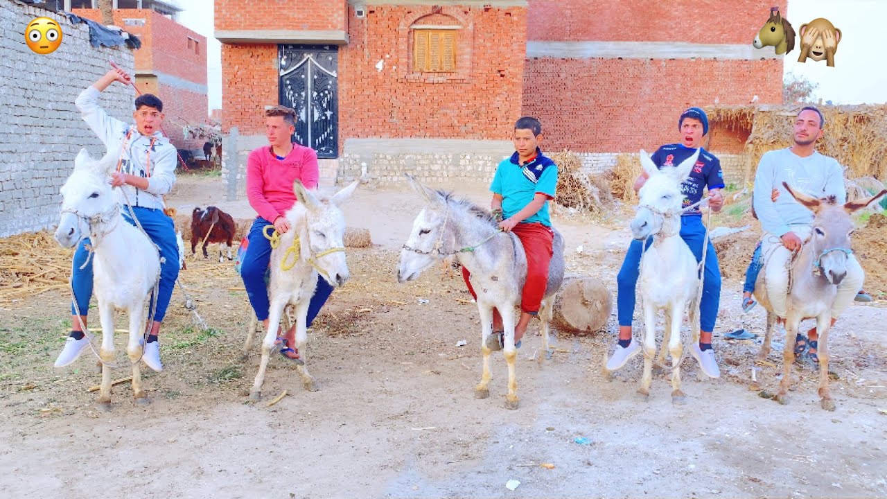 لما تعمل سباق حمير 🐎 انت واخوك الصغير🤔😂| علاء حسين ‏￼