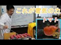 コンデンサの放電エネルギーをみてみよう【カフェジカコラボ】