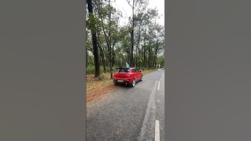 Swift modified whatsapp status in #elvishyadav song 🔥#viral #youtubeshorts #swift #trending #shorts